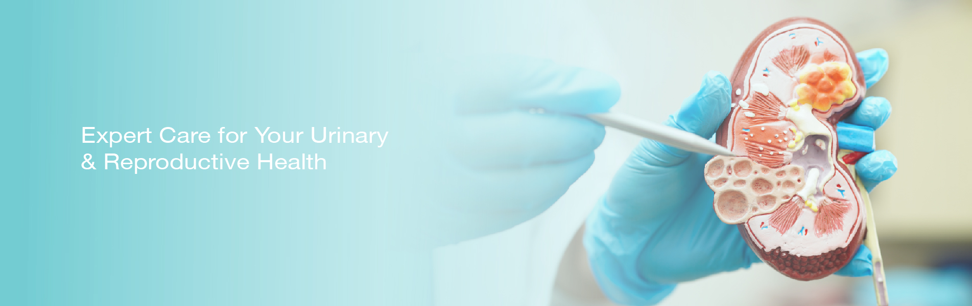 Urology